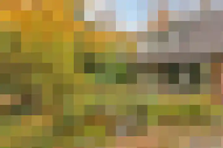 Looërmark 23 Bathmen thumbnail 50