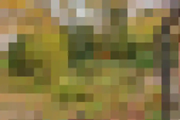 Looërmark 23 Bathmen thumbnail 51