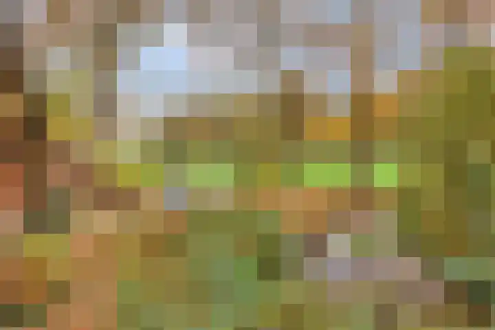 Looërmark 23 Bathmen thumbnail 52