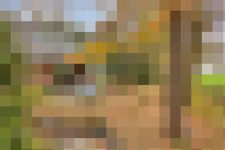 Looërmark 23 Bathmen thumbnail 53
