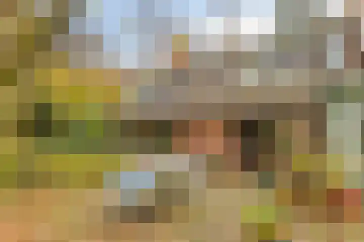 Looërmark 23 Bathmen thumbnail 54