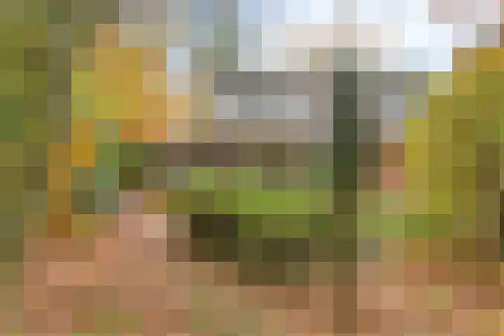 Looërmark 23 Bathmen thumbnail 55