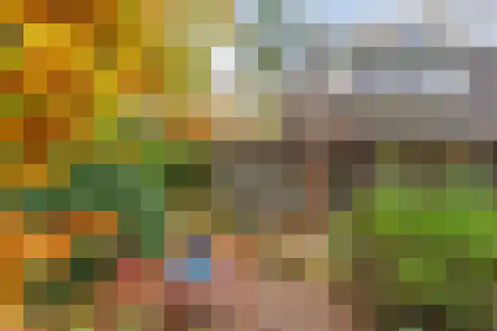 Looërmark 23 Bathmen thumbnail 56