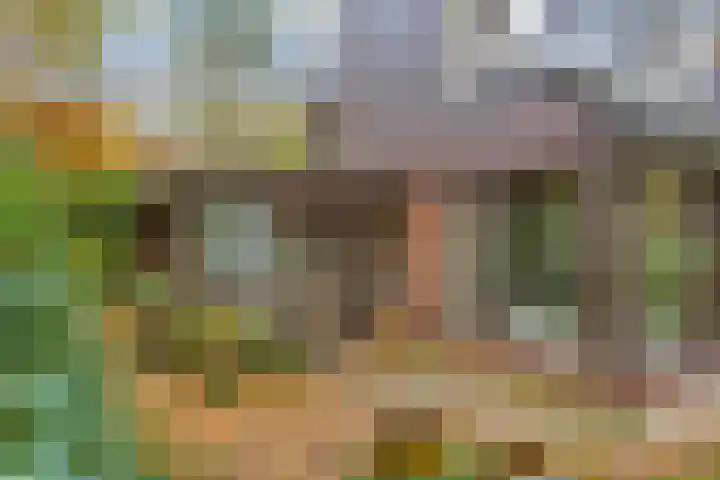 Looërmark 23 Bathmen thumbnail 57