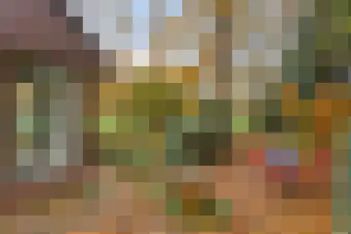 Looërmark 23 Bathmen thumbnail 58