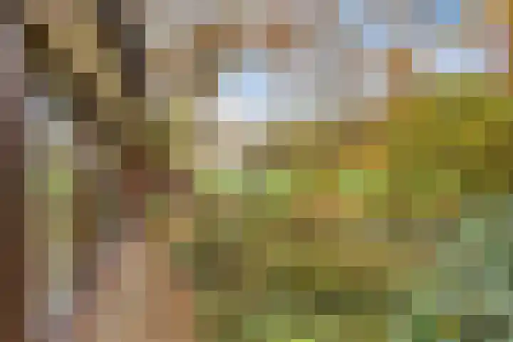 Looërmark 23 Bathmen thumbnail 59