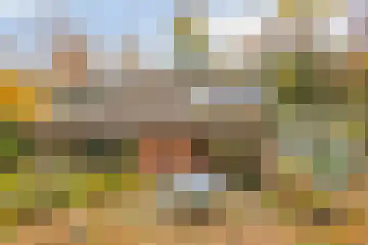 Looërmark 23 Bathmen thumbnail 6