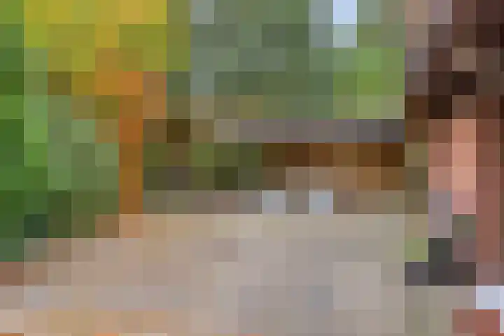 Looërmark 23 Bathmen thumbnail 62