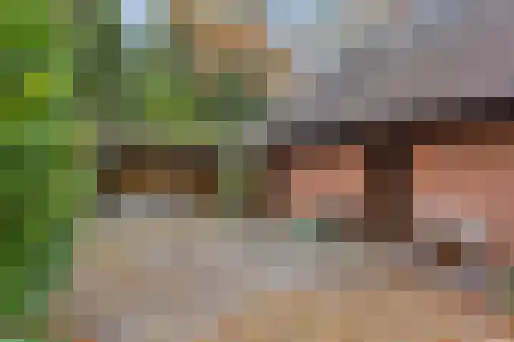 Looërmark 23 Bathmen thumbnail 7