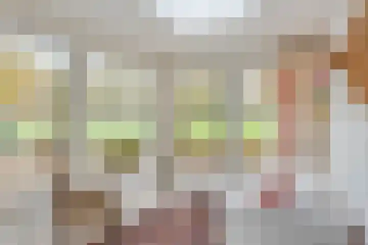 Looërmark 23 Bathmen thumbnail 9