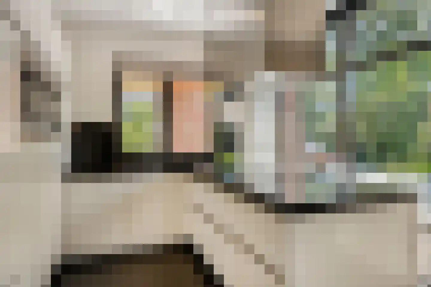 Looërmark 34 Bathmen thumbnail 11