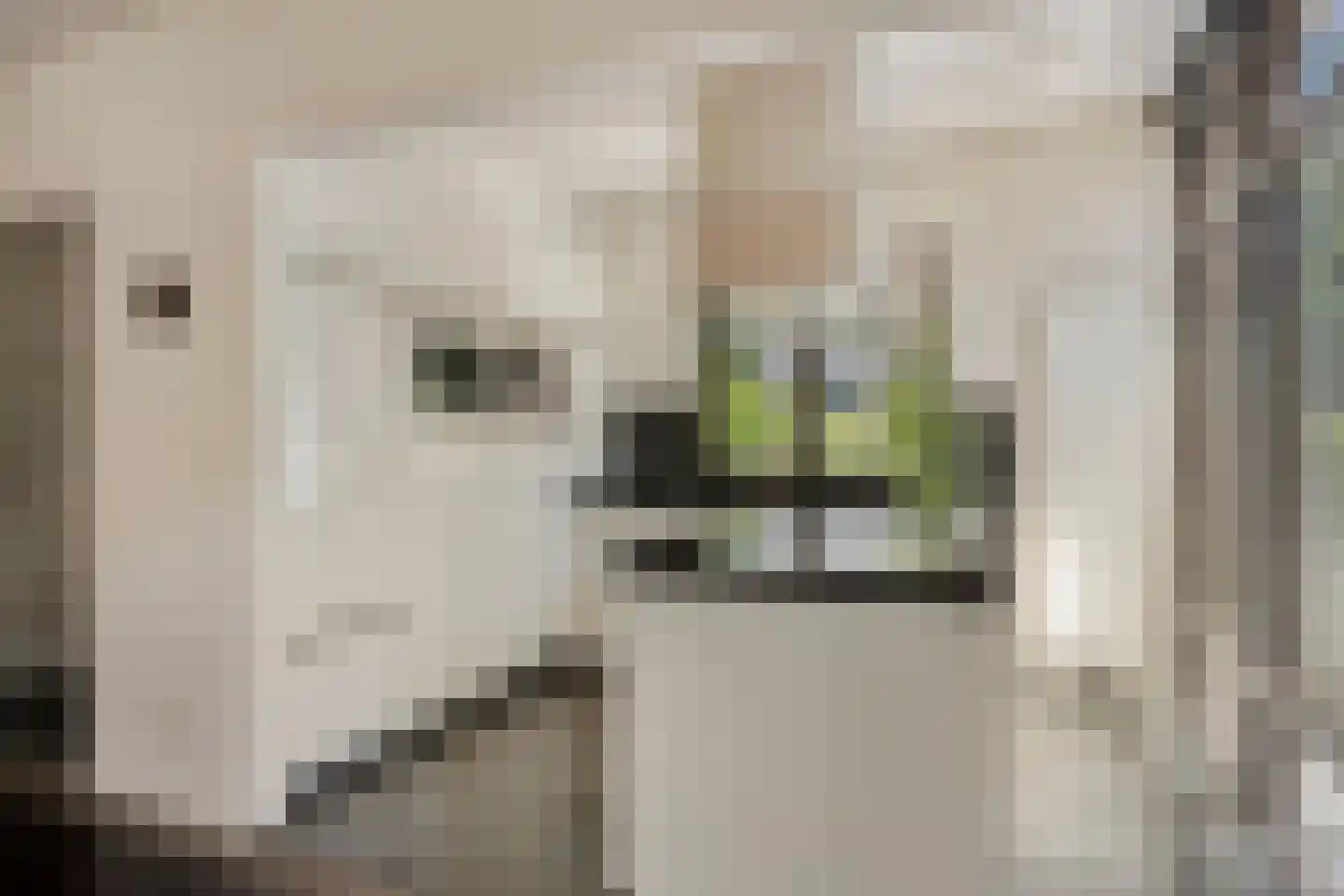 Looërmark 34 Bathmen thumbnail 12
