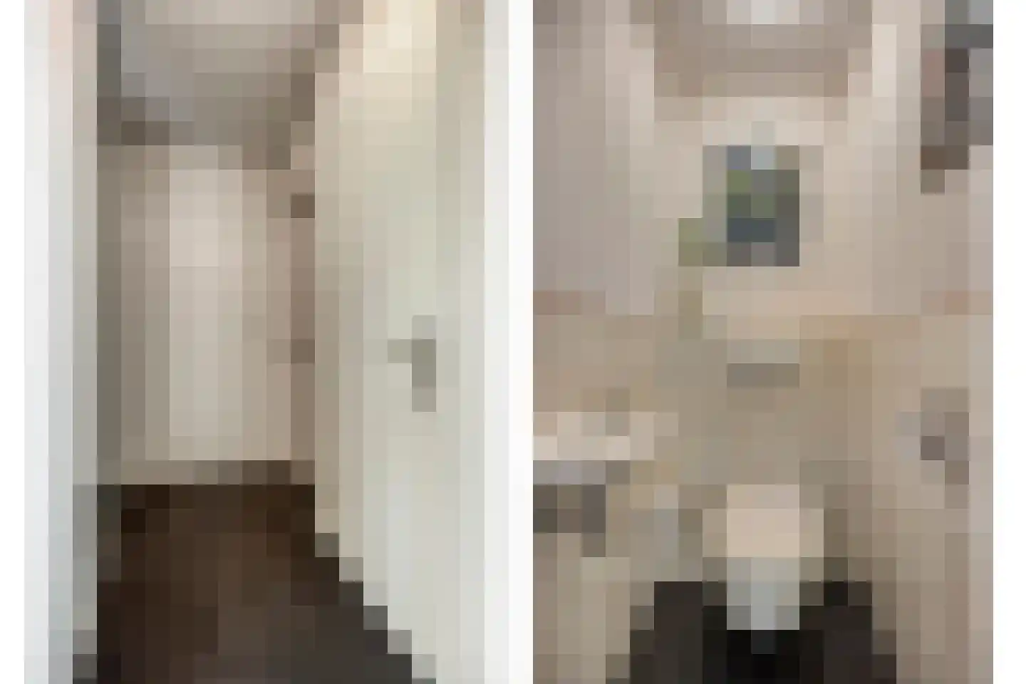Looërmark 34 Bathmen thumbnail 14