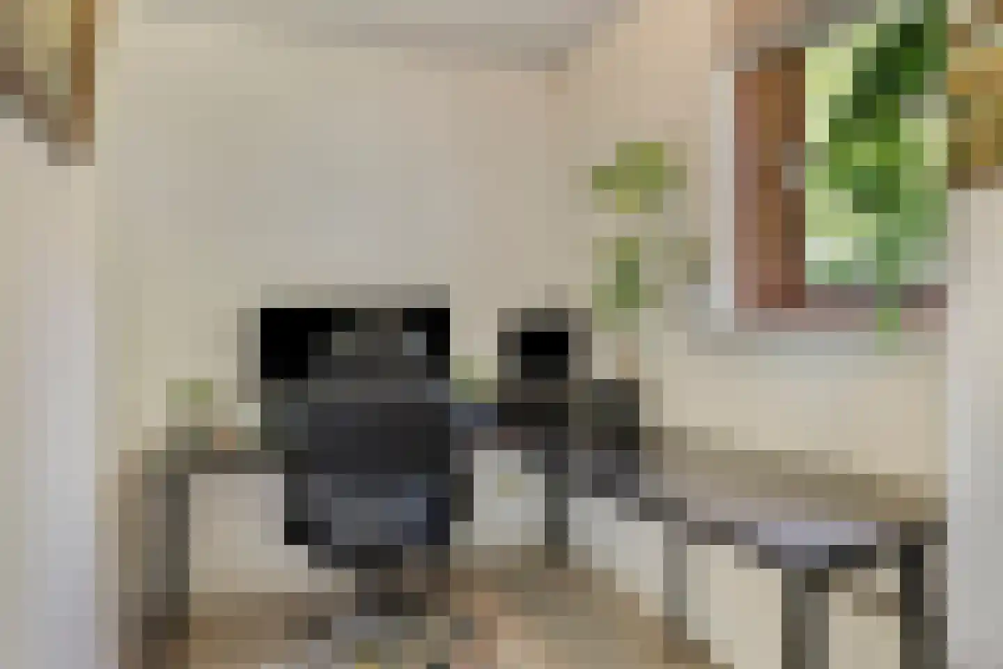Looërmark 34 Bathmen thumbnail 20