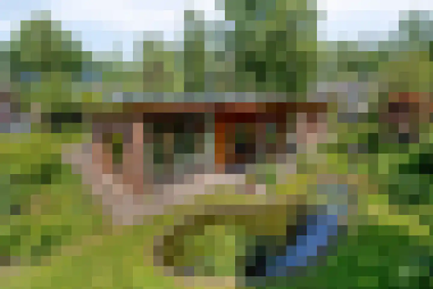 Looërmark 34 Bathmen thumbnail 27