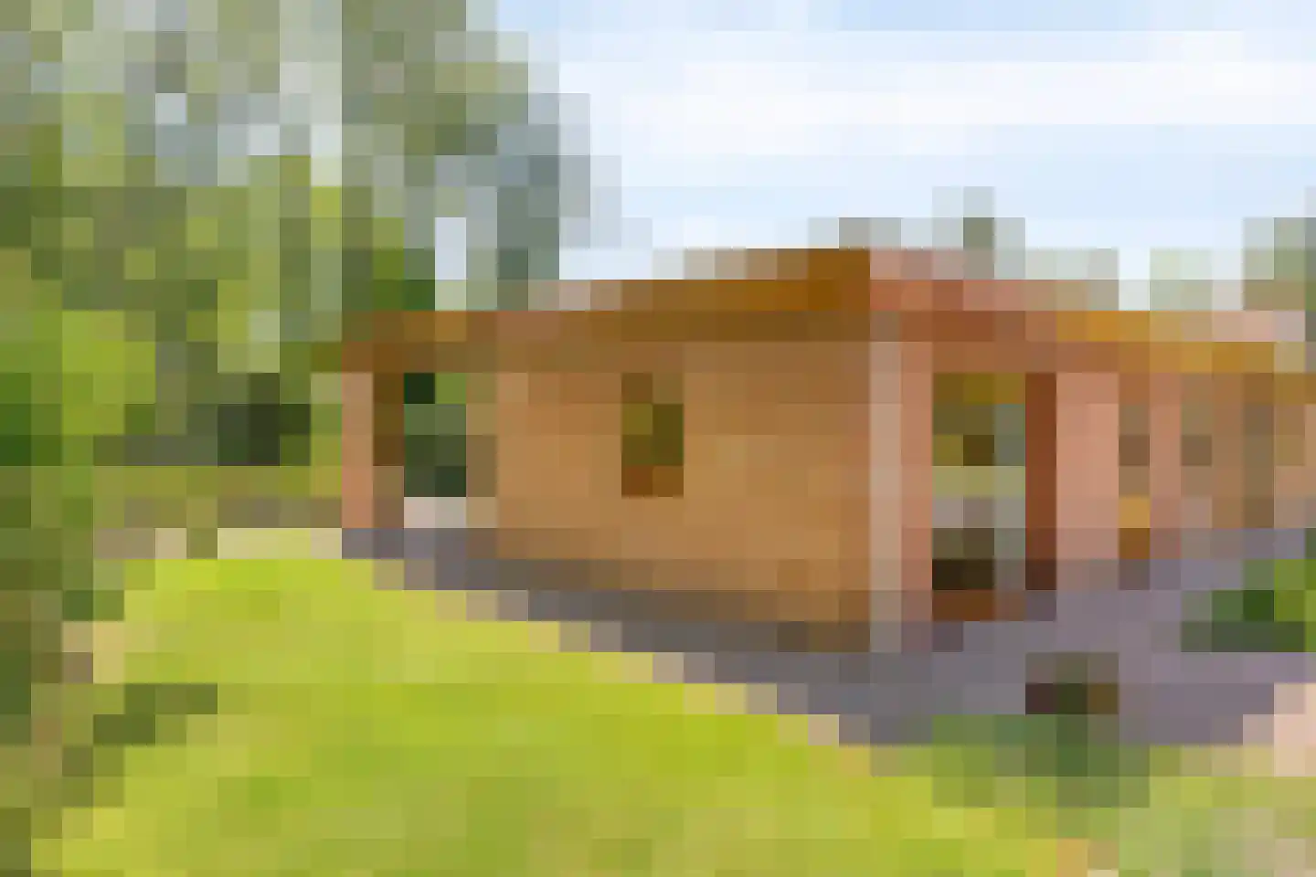 Looërmark 34 Bathmen thumbnail 30