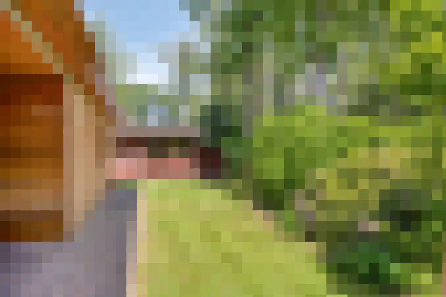 Looërmark 34 Bathmen thumbnail 32