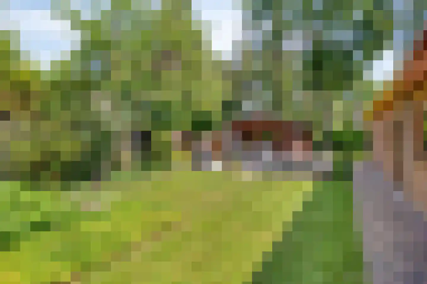 Looërmark 34 Bathmen thumbnail 33