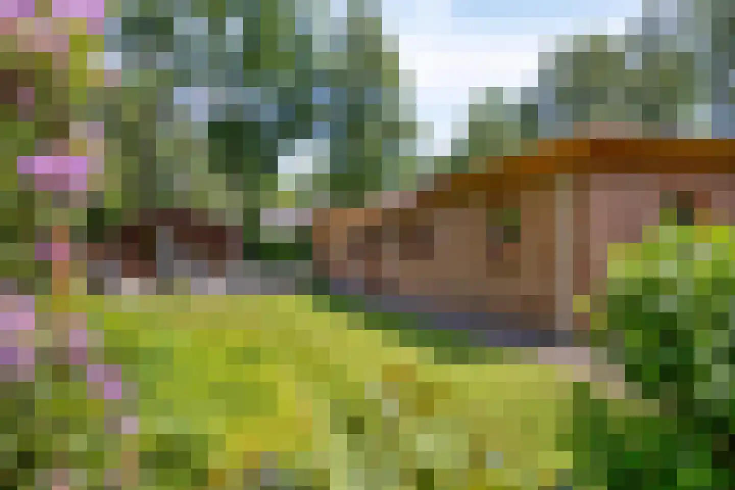Looërmark 34 Bathmen thumbnail 35