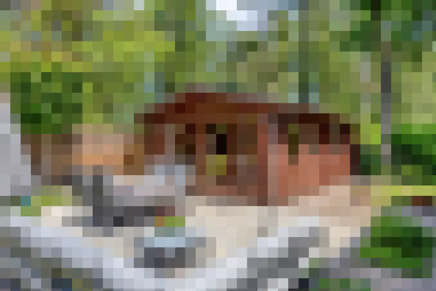 Looërmark 34 Bathmen thumbnail 37