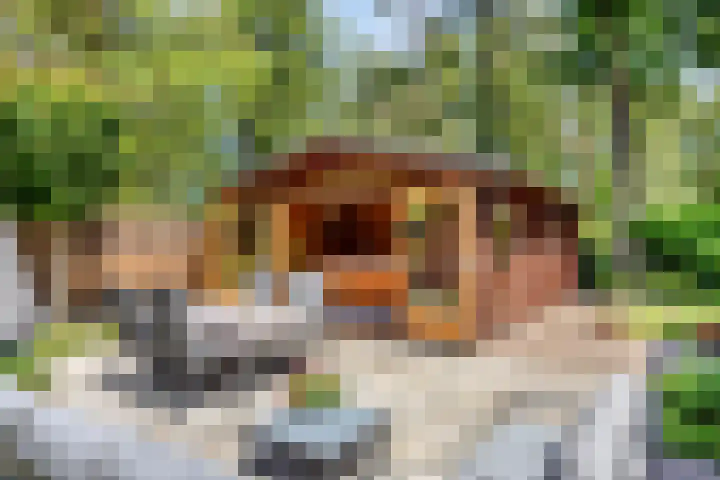 Looërmark 34 Bathmen thumbnail 38