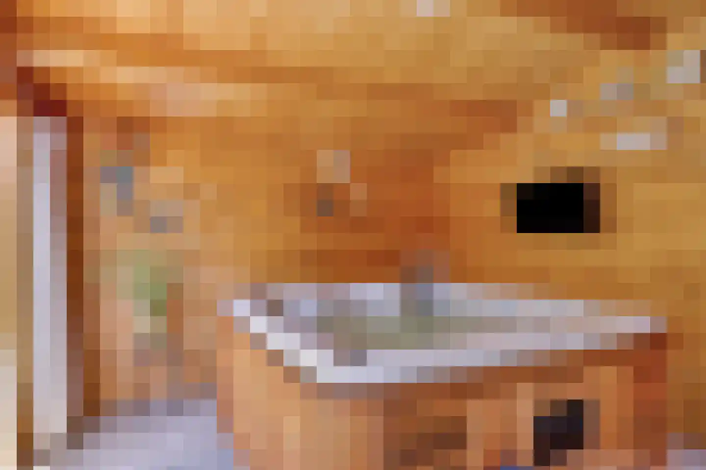 Looërmark 34 Bathmen thumbnail 40
