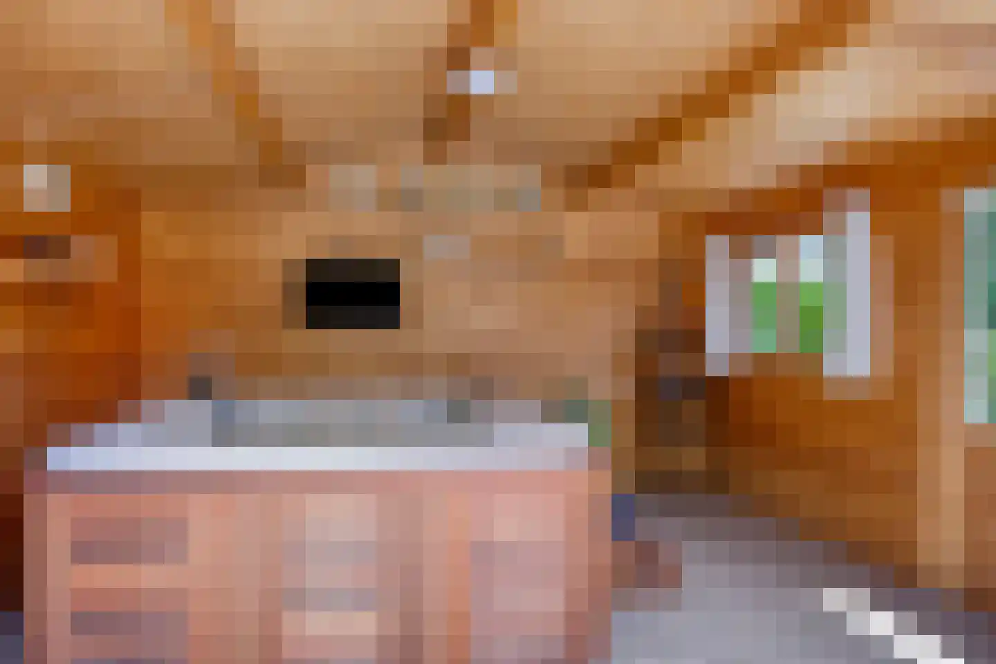 Looërmark 34 Bathmen thumbnail 41