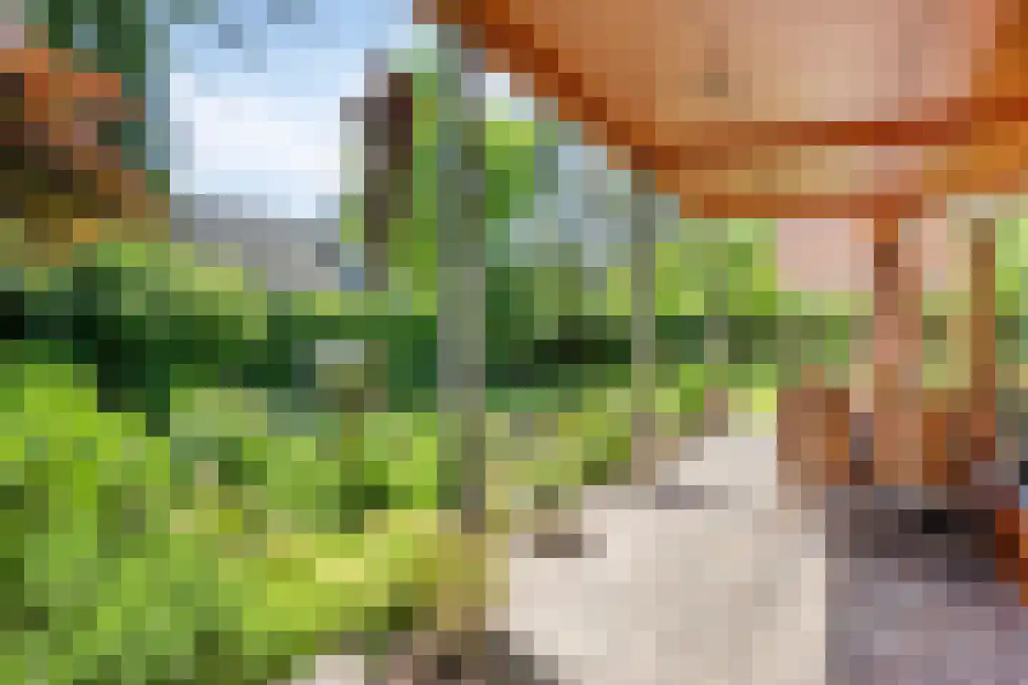 Looërmark 34 Bathmen thumbnail 42