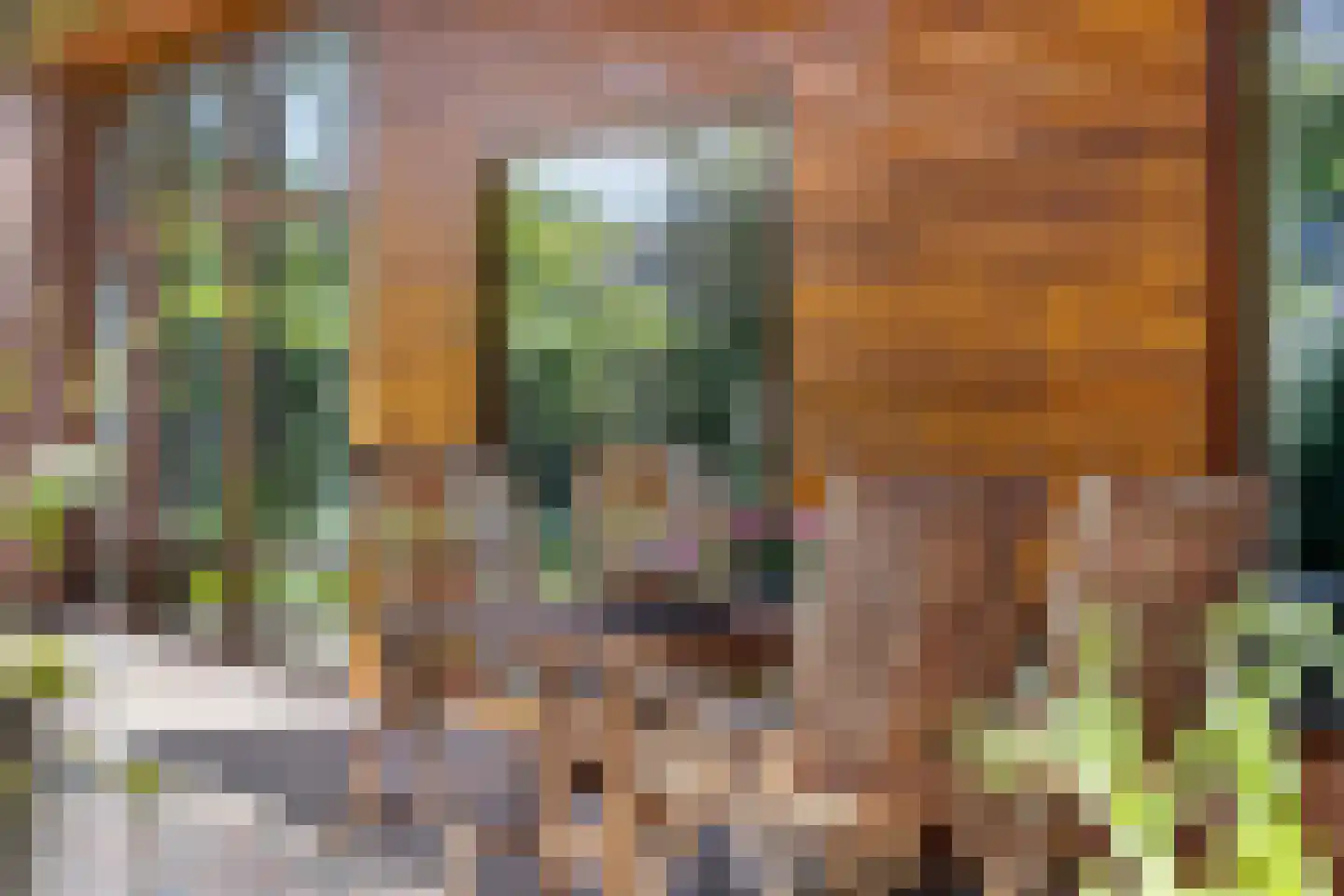 Looërmark 34 Bathmen thumbnail 43