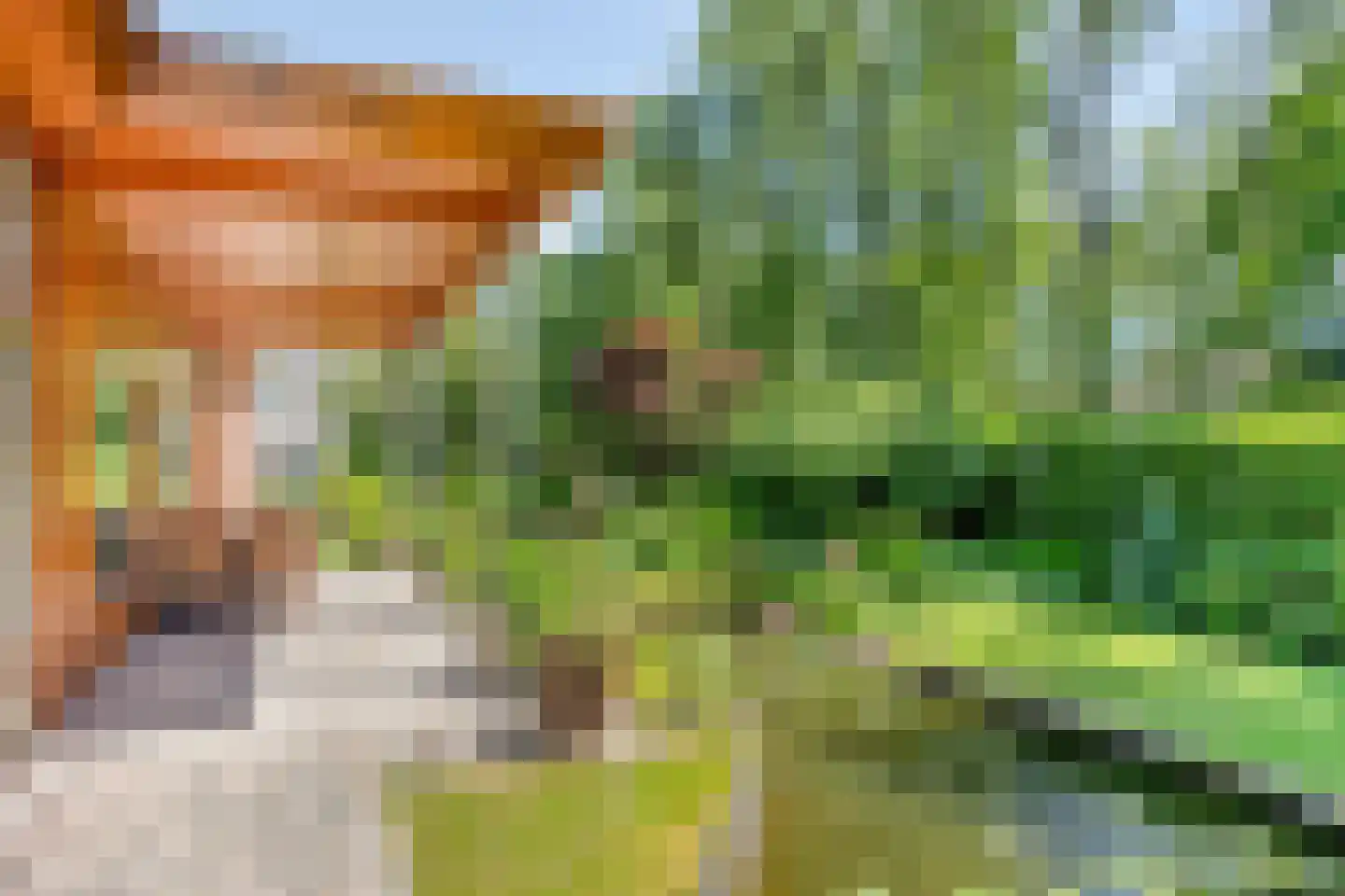 Looërmark 34 Bathmen thumbnail 44