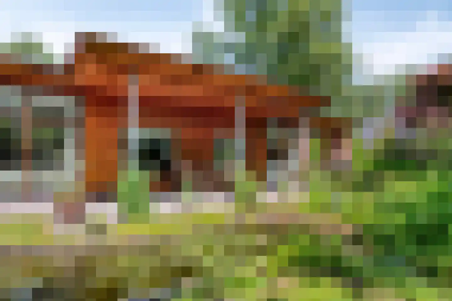 Looërmark 34 Bathmen thumbnail 45