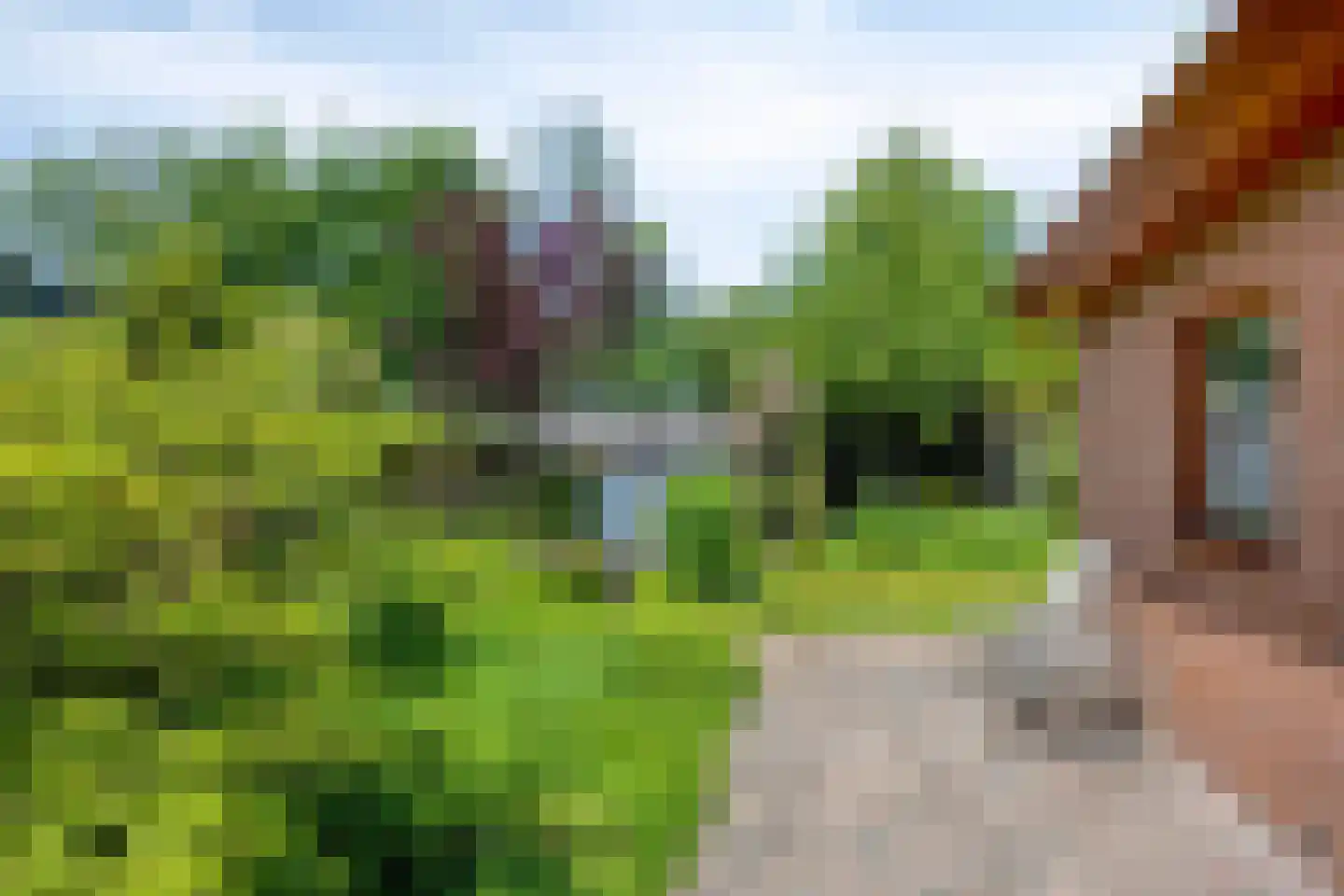Looërmark 34 Bathmen thumbnail 46