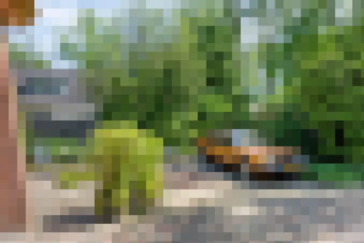 Looërmark 34 Bathmen thumbnail 49