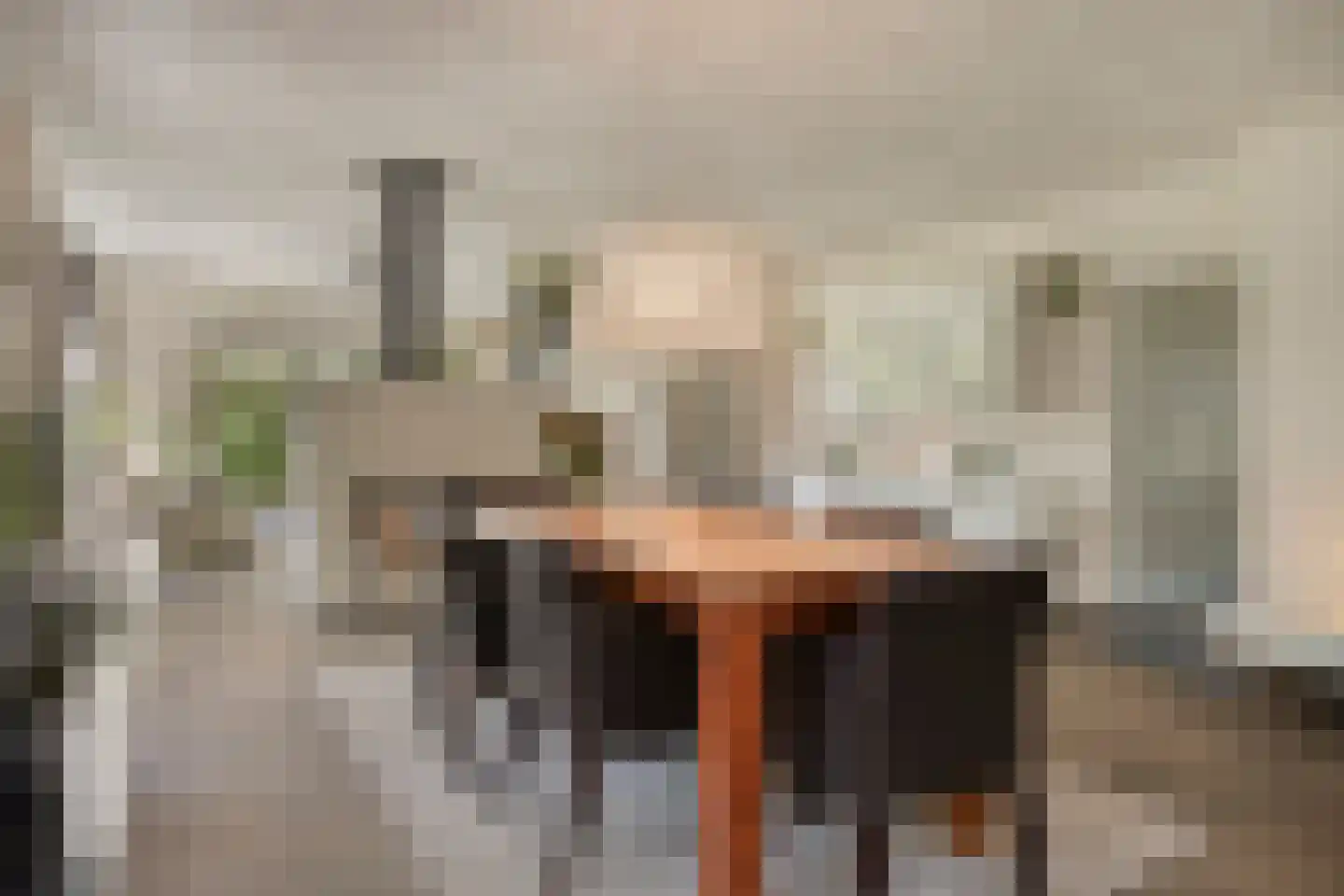 Looërmark 34 Bathmen thumbnail 7