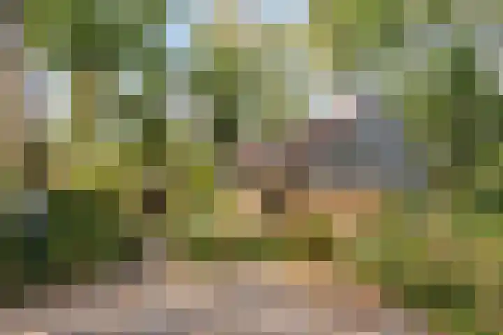 Looërmark 38 Bathmen