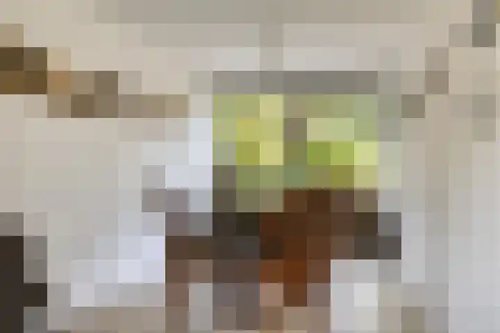 Looërmark 38 Bathmen thumbnail 11