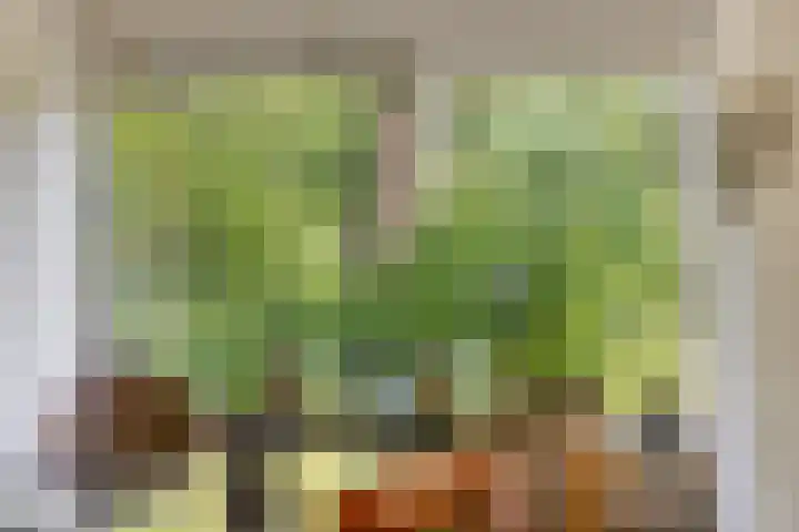 Looërmark 38 Bathmen thumbnail 12