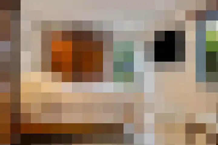 Looërmark 38 Bathmen thumbnail 16