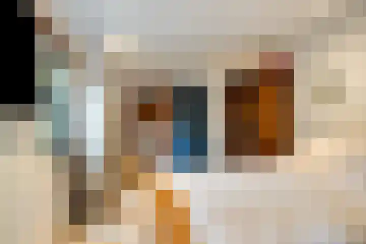 Looërmark 38 Bathmen thumbnail 17