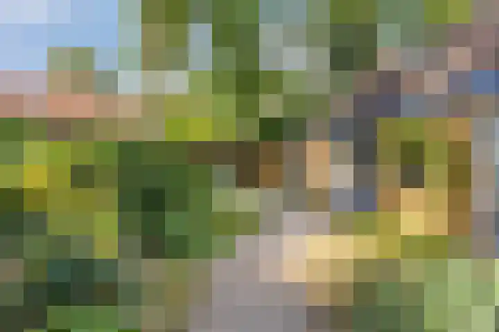 Looërmark 38 Bathmen thumbnail 27