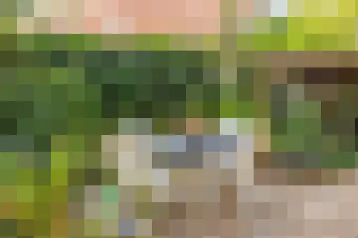 Looërmark 38 Bathmen thumbnail 28