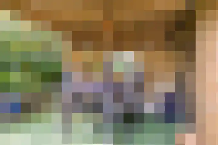 Looërmark 38 Bathmen thumbnail 30