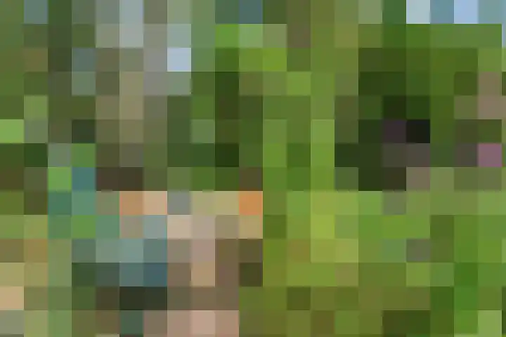 Looërmark 38 Bathmen thumbnail 35