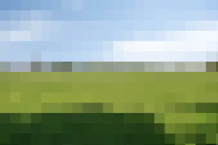 Looërmark 38 Bathmen thumbnail 37