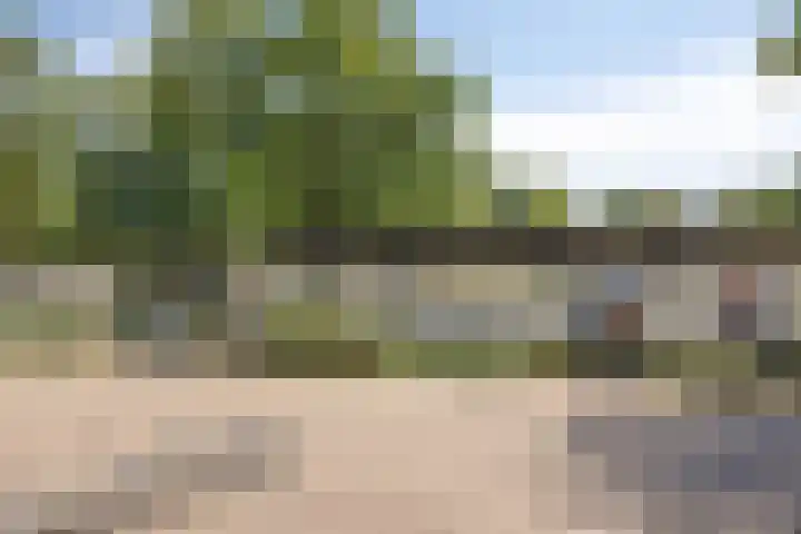 Looërmark 38 Bathmen thumbnail 38