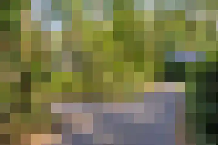 Looërmark 38 Bathmen thumbnail 39