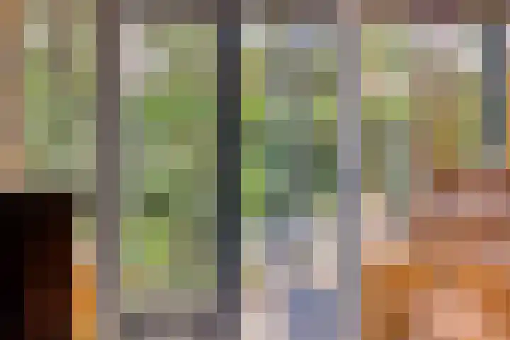 Looërmark 38 Bathmen thumbnail 8