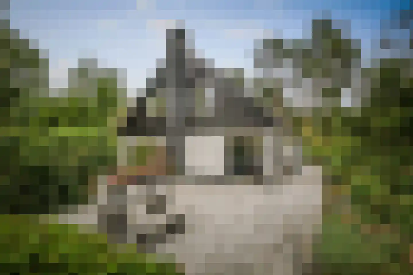 Looërmark 48 in Bathmen
