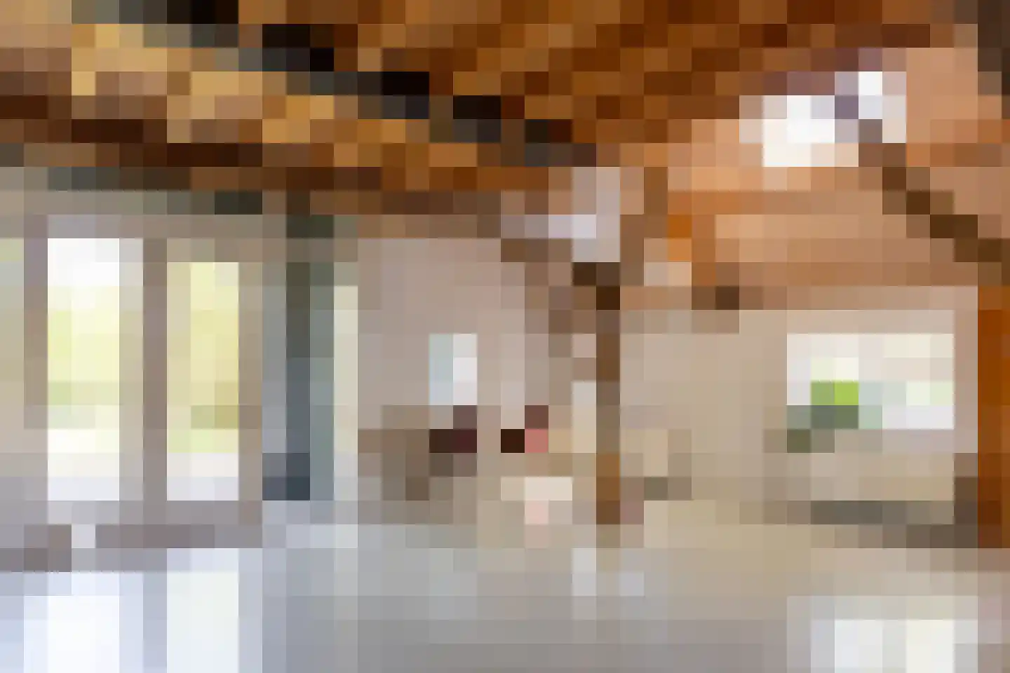 Loofaert 1 Berlicum thumbnail 18