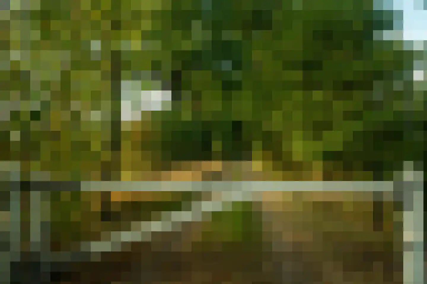 Loofaert 1 Berlicum thumbnail 4
